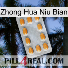 Zhong Hua Niu Bian cialis3